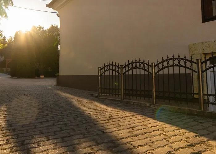 Kiraly Panzio Tolcsva